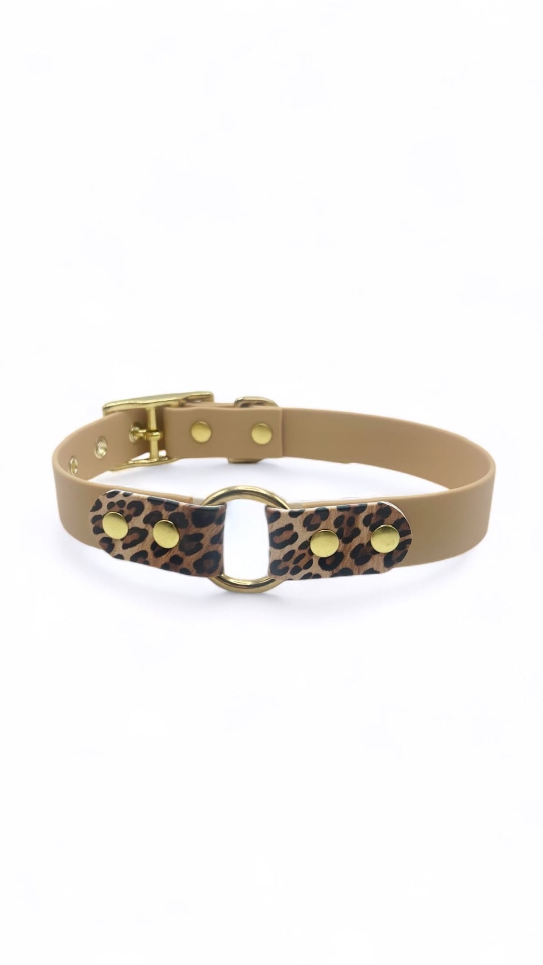collier light or et léopard wild en biothane pour chiens
