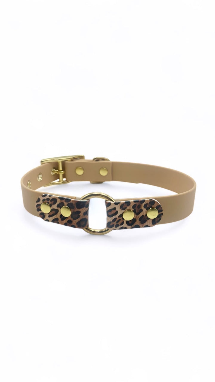 collier light or et léopard wild en biothane pour chiens
