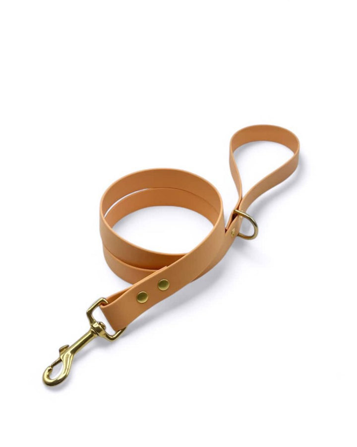 Biothane® single leash