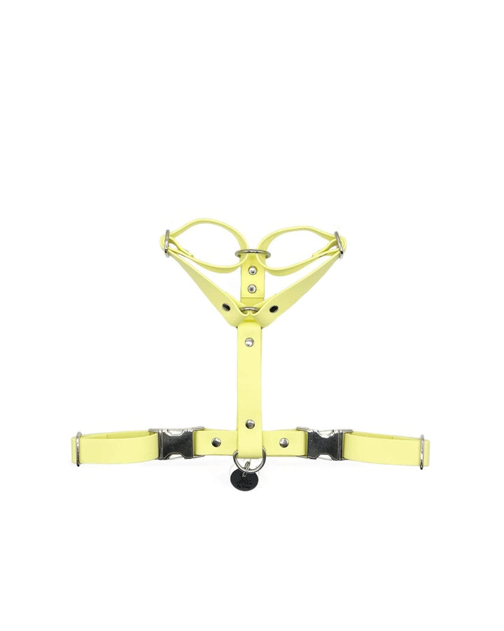 Harnais deux clips Biothane®