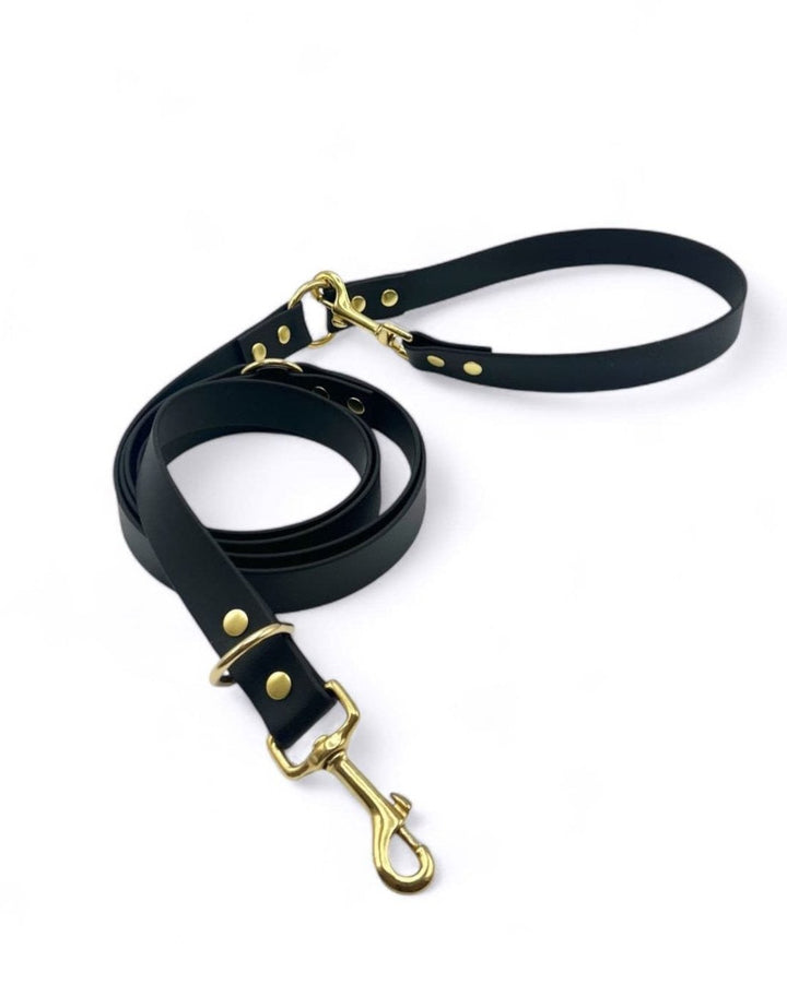 Biothane® multi-position leash