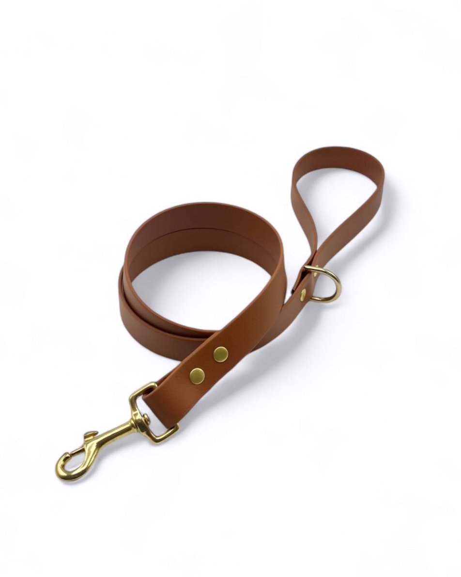 Biothane® single leash