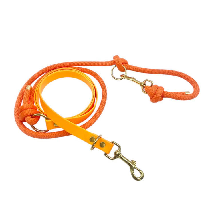 Laisses Multi Biothane® X Corde Nylon
