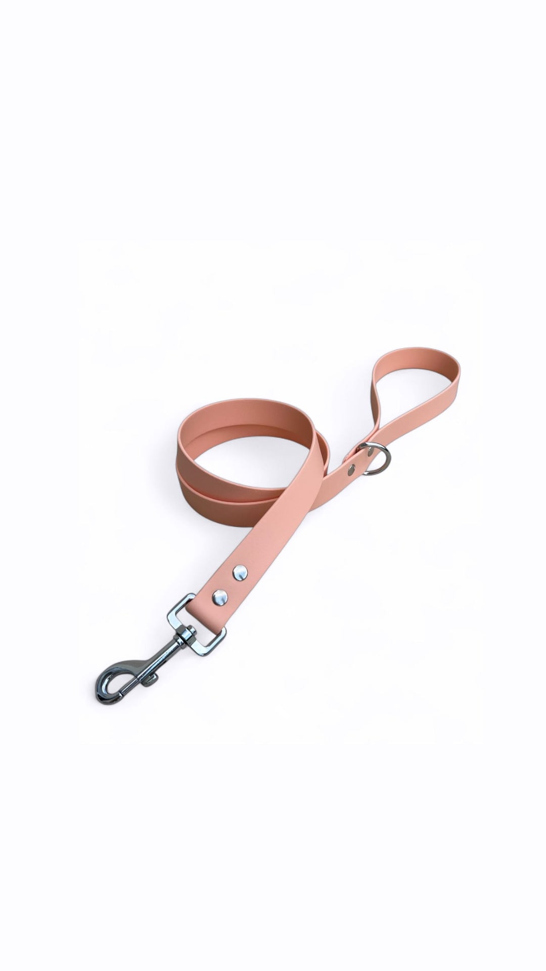 Laisse simple Biothane®