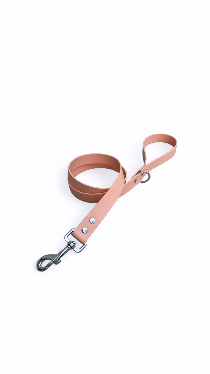 Laisse simple Biothane®