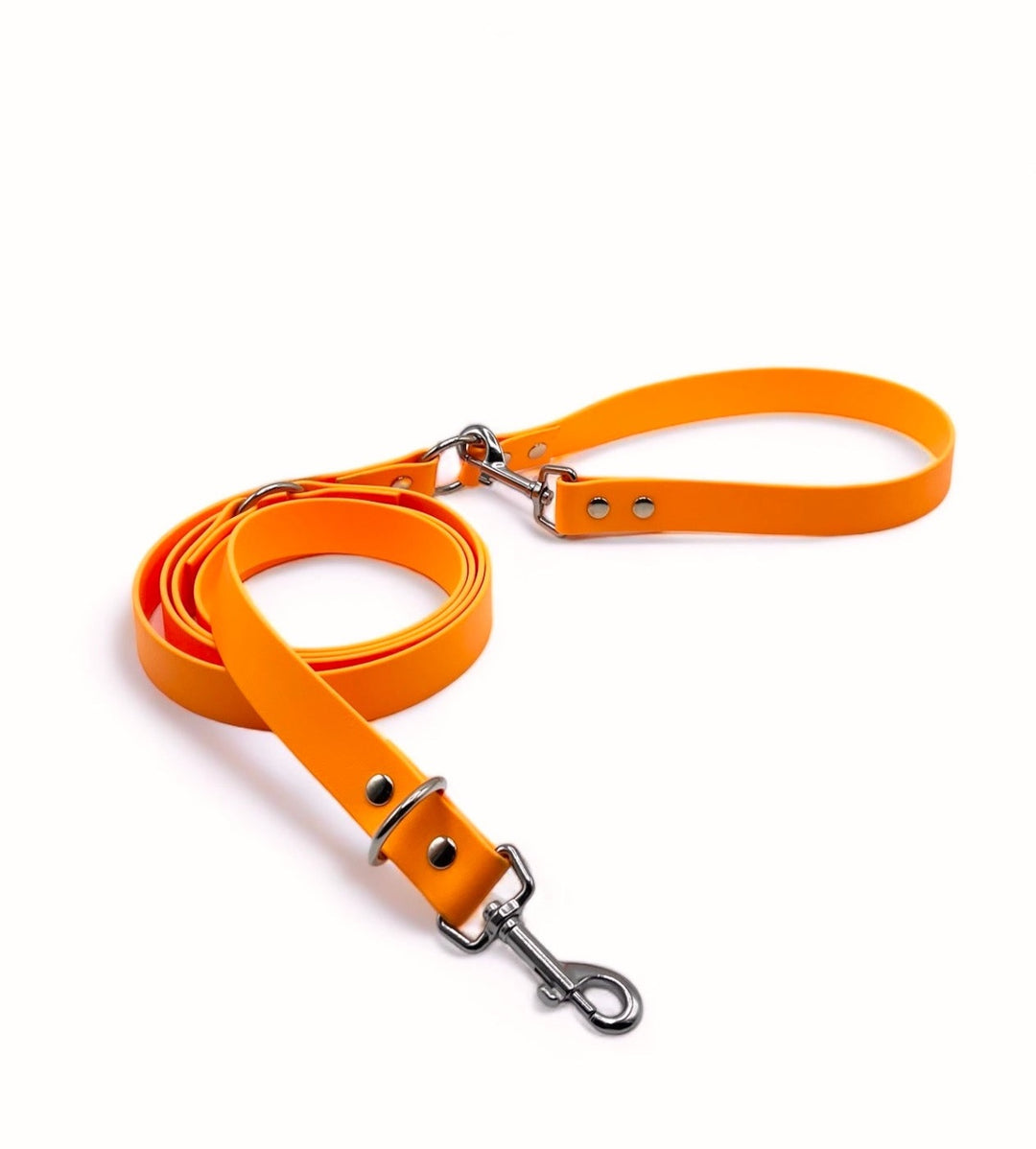 Biothane® multi-position leash