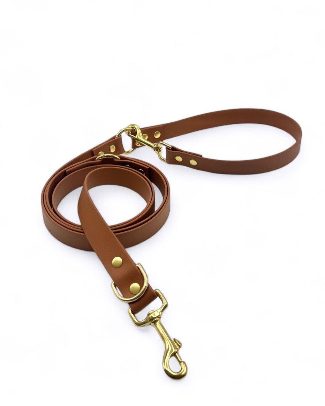 Biothane® multi-position leash