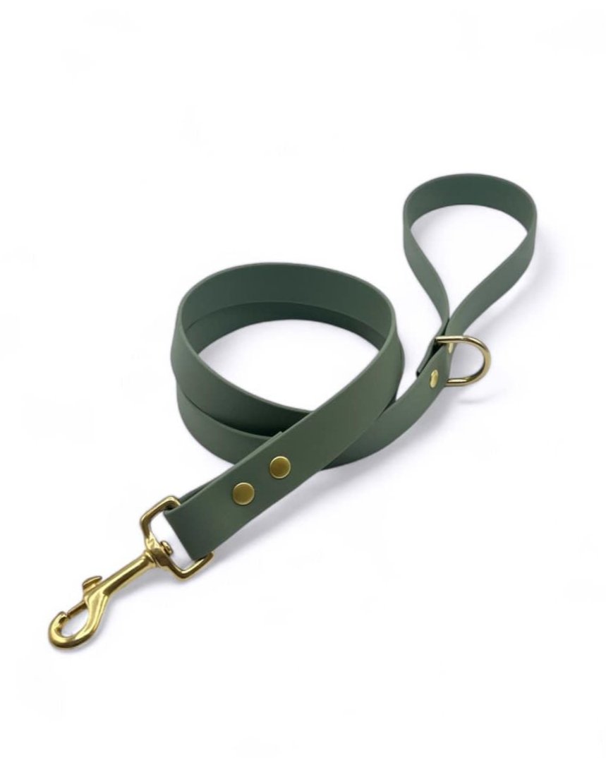 Biothane® single leash