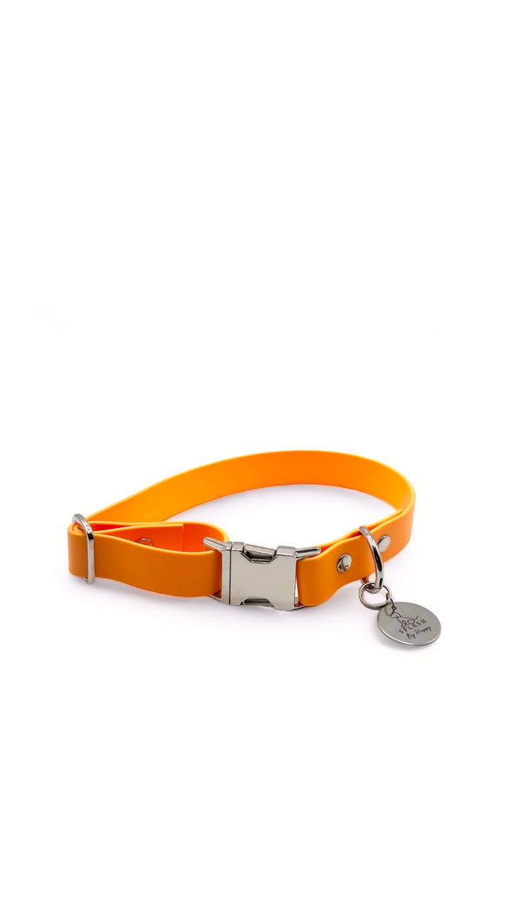 collier à clip orange pour chien  en biothane réglable imperméable et tendance