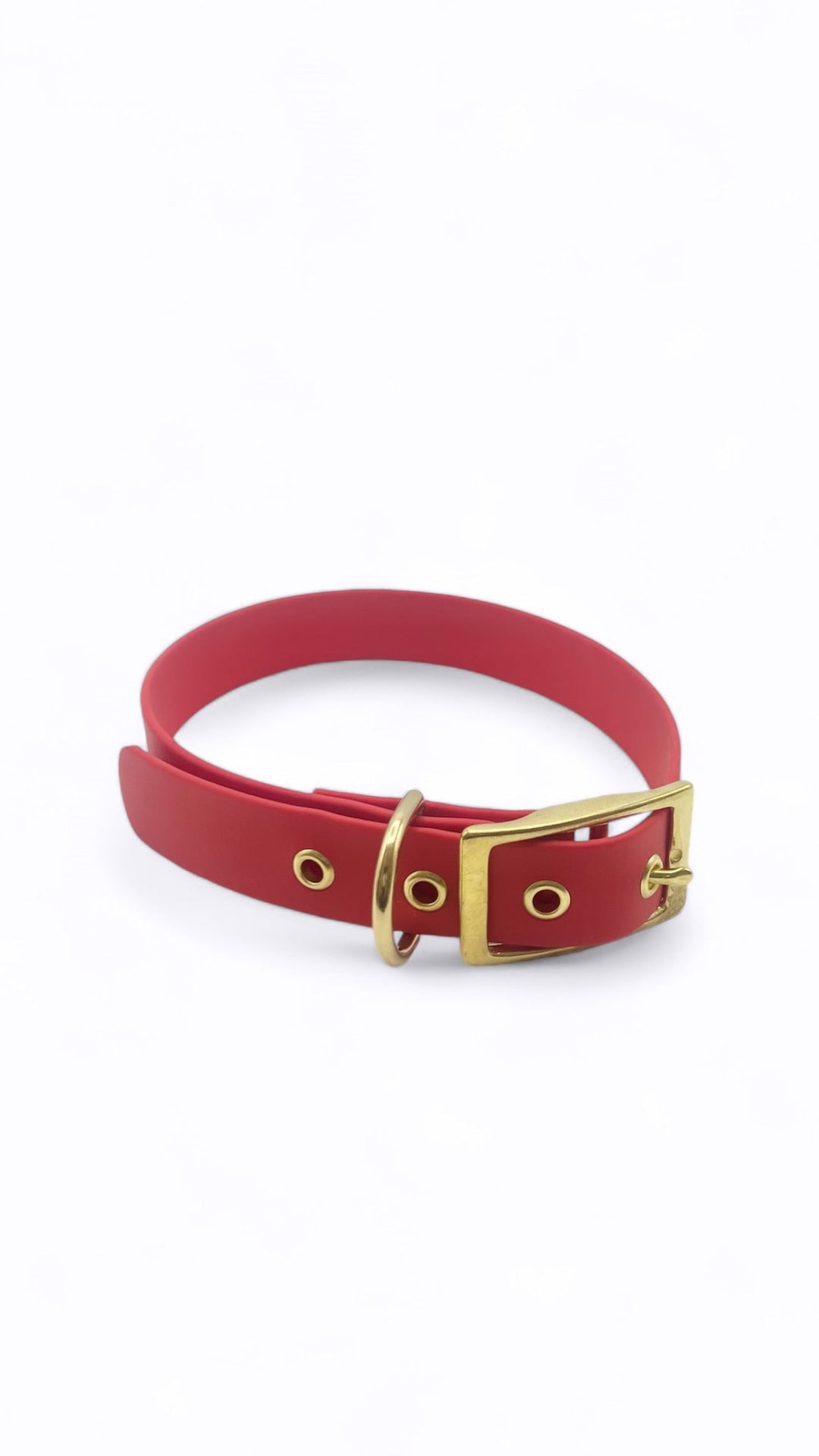 Collier en Biothane rouge pour chiens. Bouclerie or ou argent, résistant et imperméable. Facile d'entretien. 