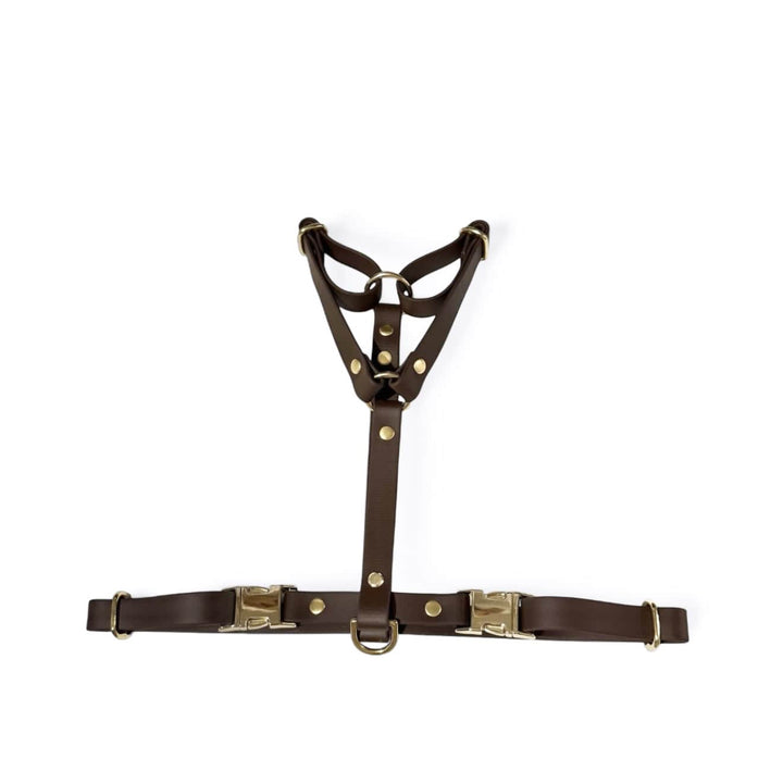 Harnais deux clips Biothane®