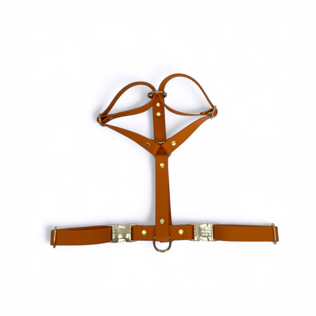 Harn&ais chien biothane deux clips facile orange foncé