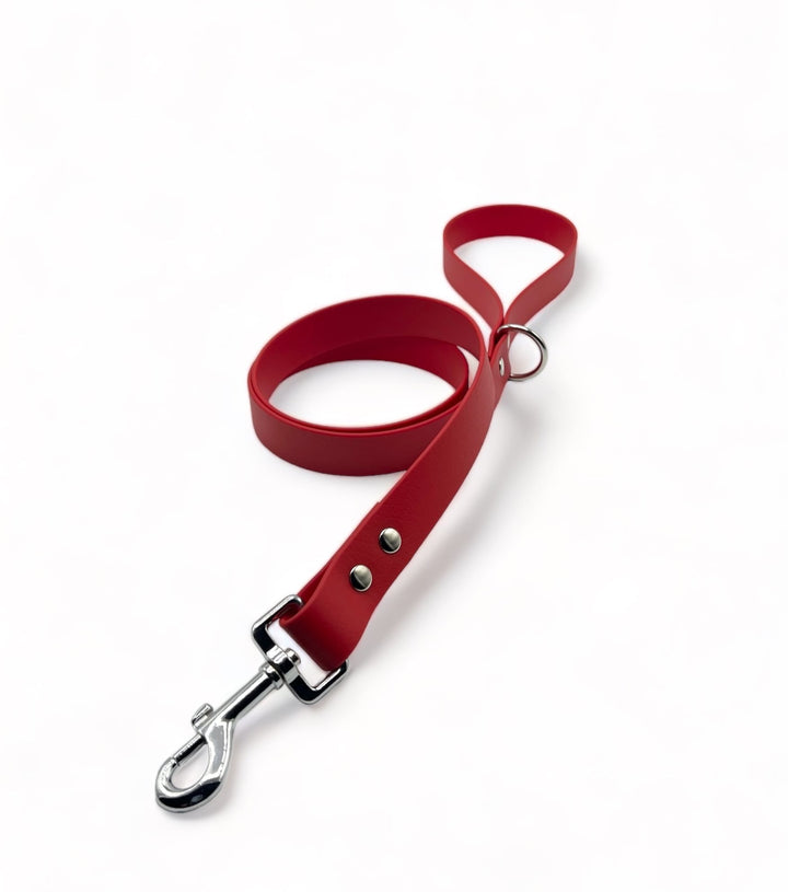 Biothane® single leash