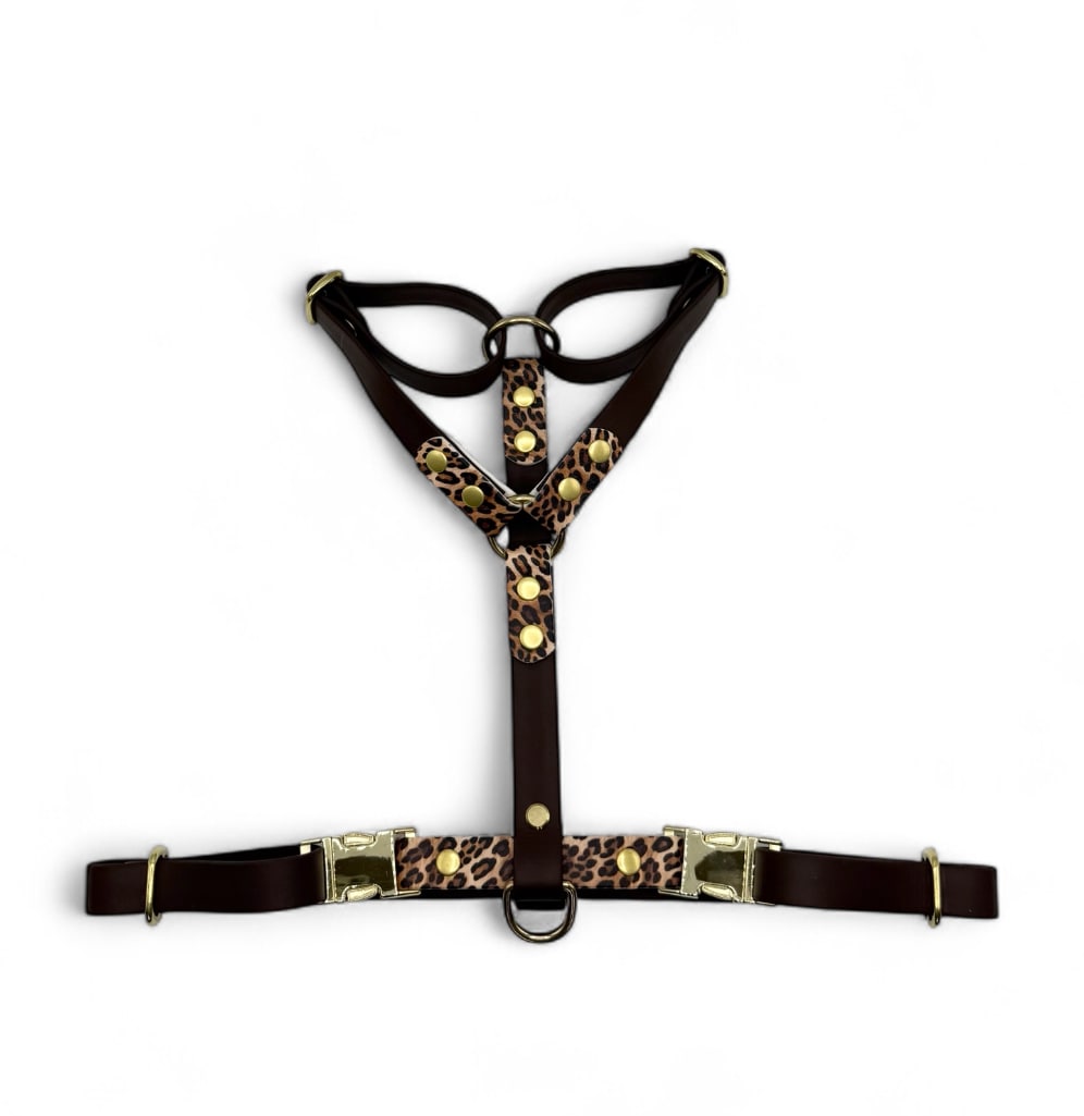 🐆 Collection WILD 🐆