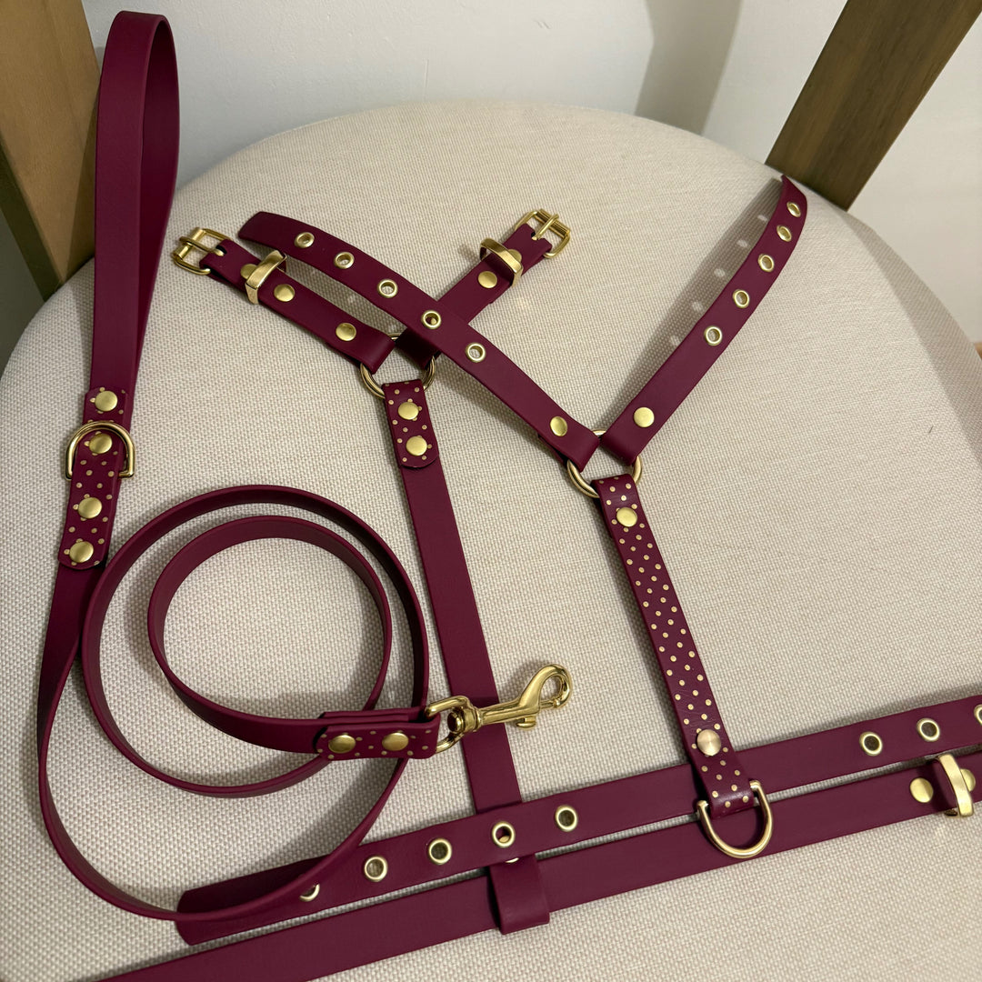 Dolly Dots