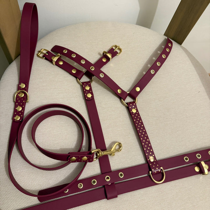 Dolly Dots
