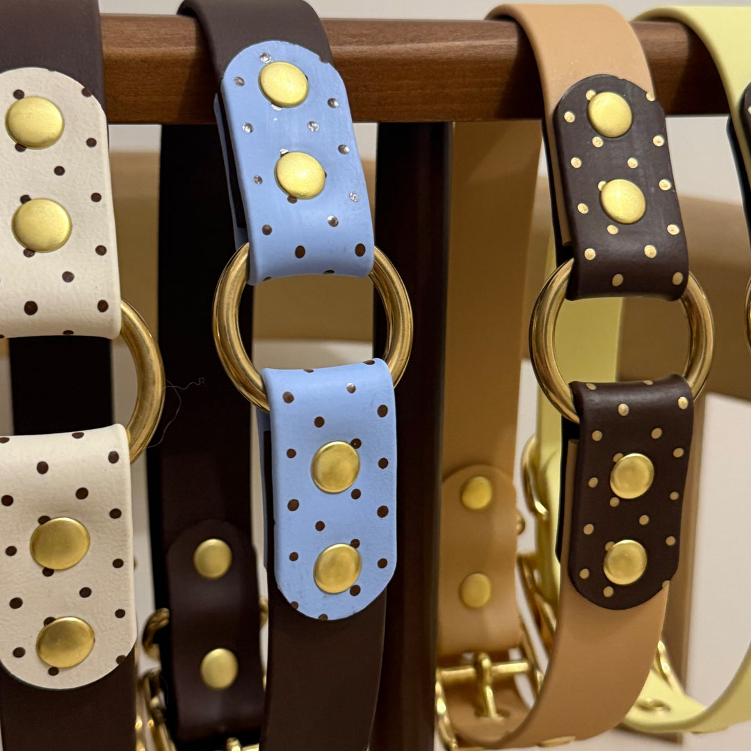 Dolly Dots