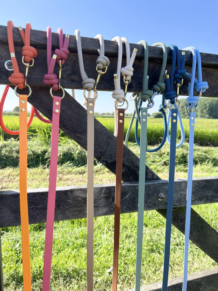 Laisses Multi Biothane® X Corde Nylon