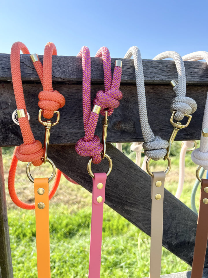 Laisses Multi Biothane® X Corde Nylon