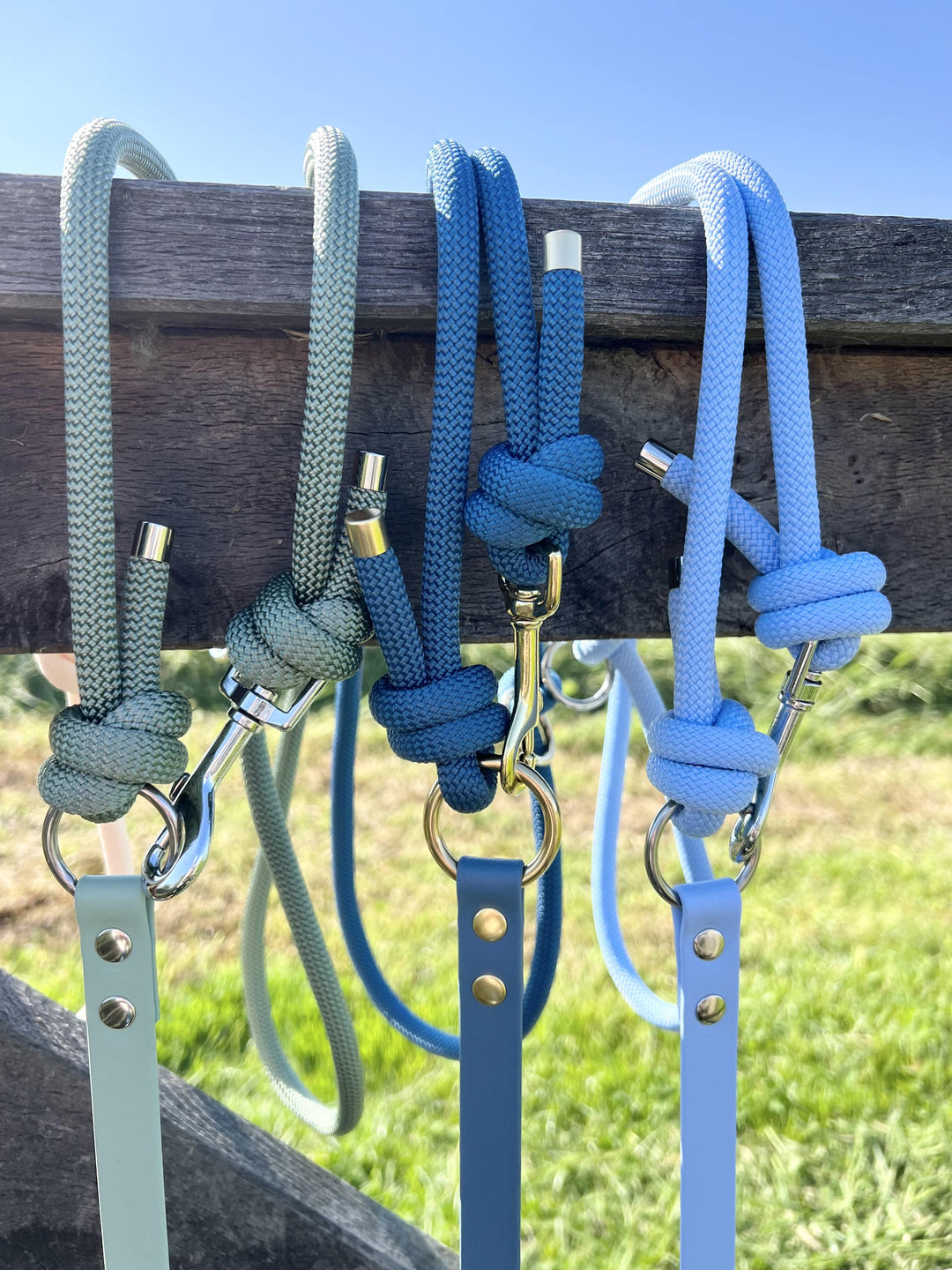 Laisses Multi Biothane® X Corde Nylon