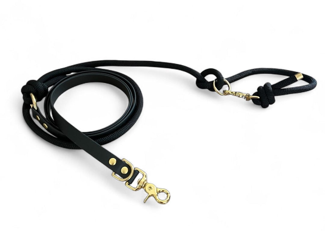 Laisses Multi Biothane® X Corde Nylon