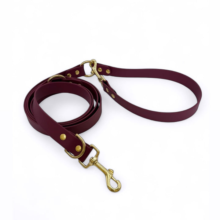laisse multipositions bordeaux chien biothane laiton