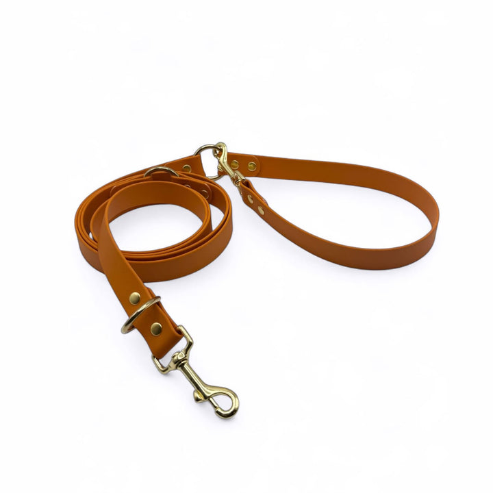 laisses multipositions chien biothane orange foncé