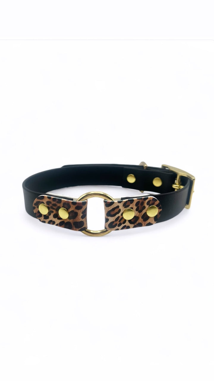 collier biothane noir et léopard chien