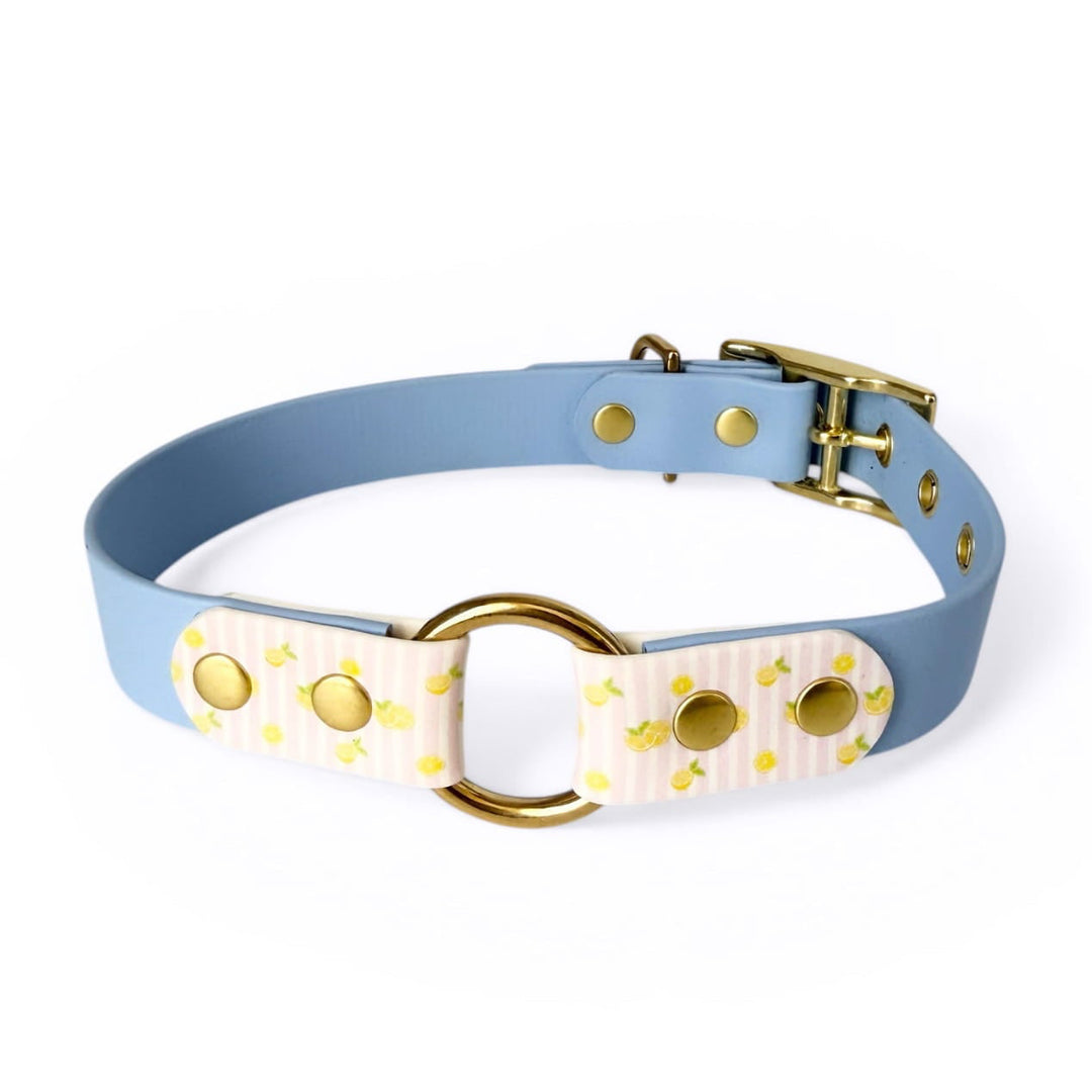 collier tendance en biothane imperméable pour chiens avec rayures et citrons