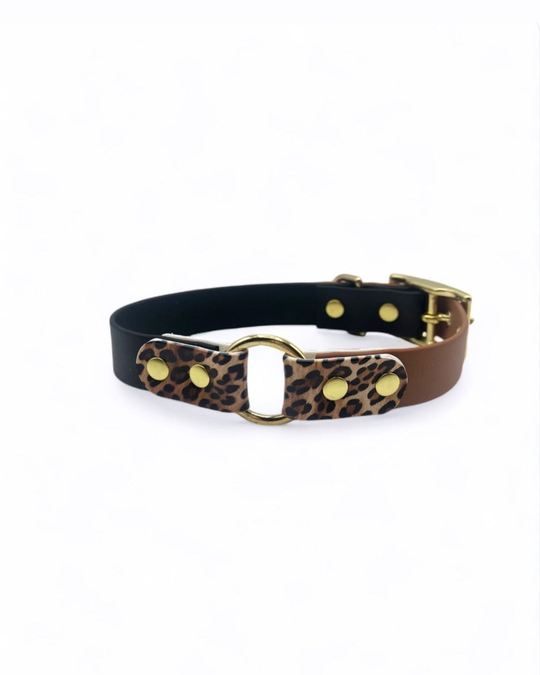 collier pour chien  biothane camel et noir avec motif léopard