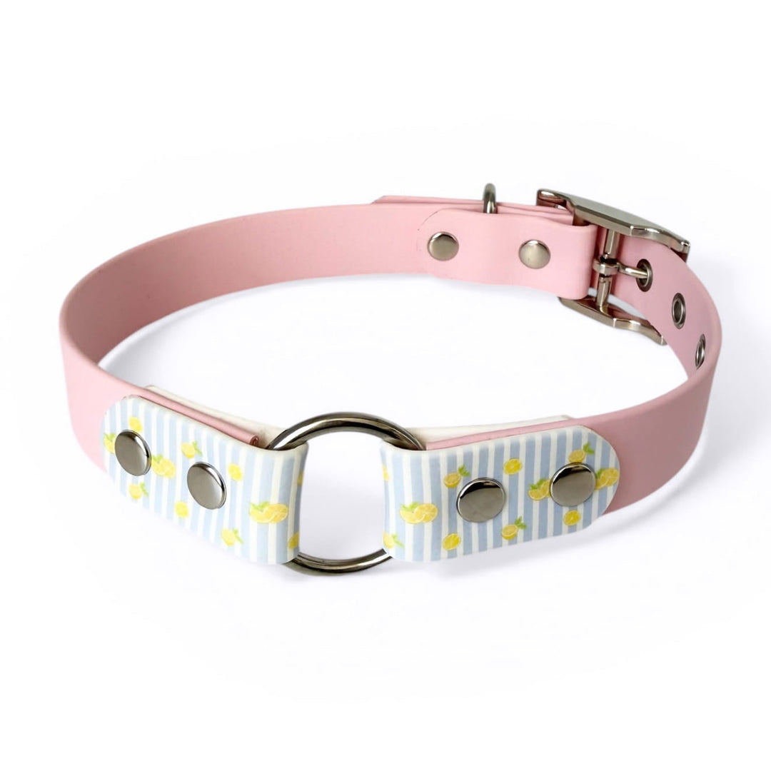 collier à oeillets en biothane motif citrons rose pour chiens