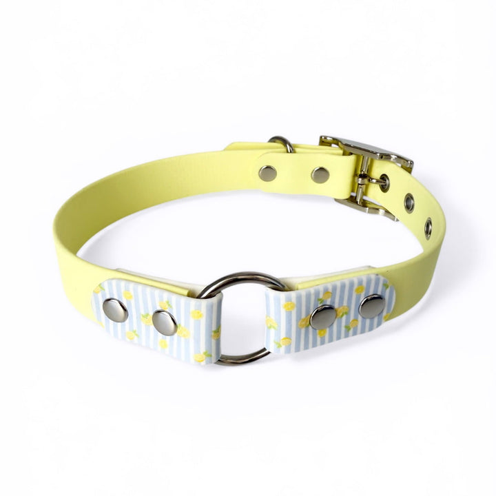 collier jaune pastel rayures bleues et motifs citrons pour chiens