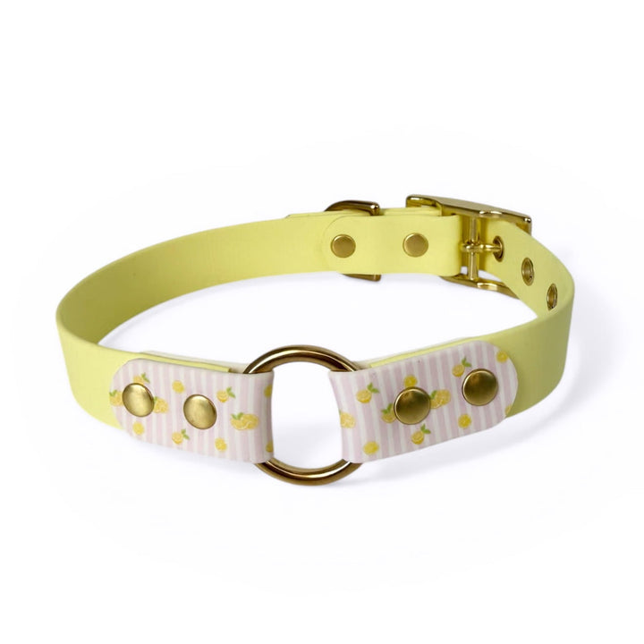 collier en biothane pour chiens tendance avec motifs citrons