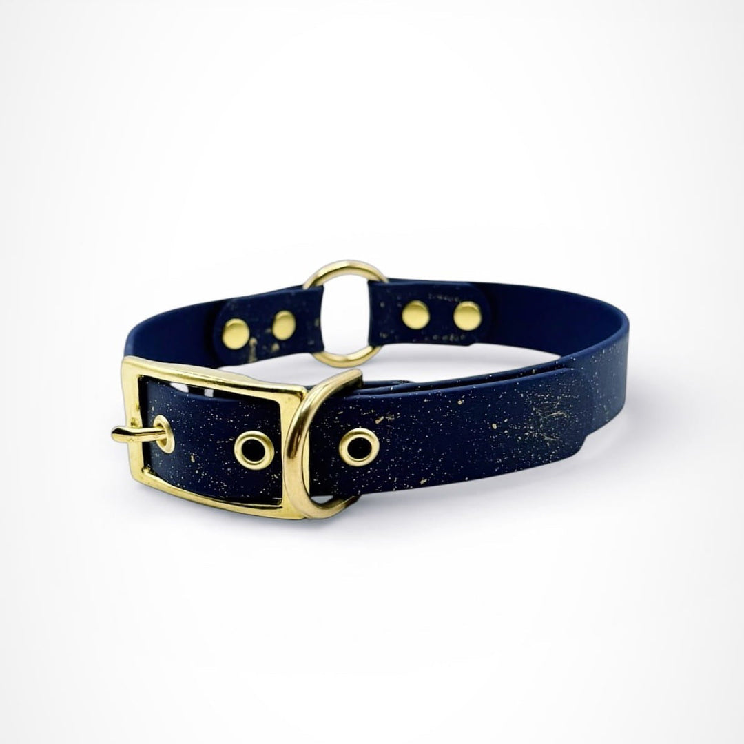 collier chien biothane étoilé