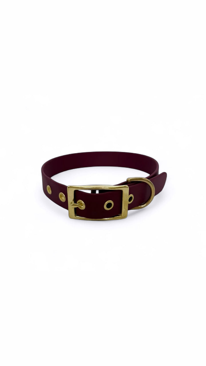 collier tendance biothane à oeillets bordeaux chien