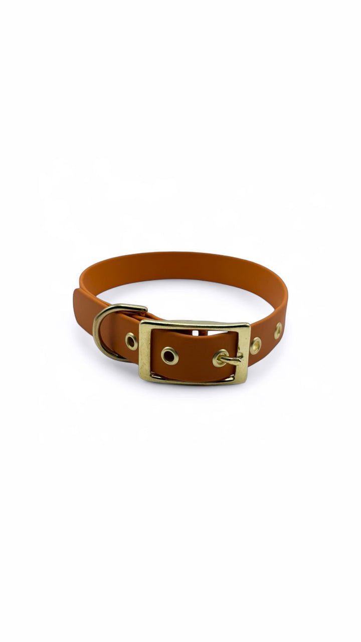 collier à oeillets chien biothane orange foncé