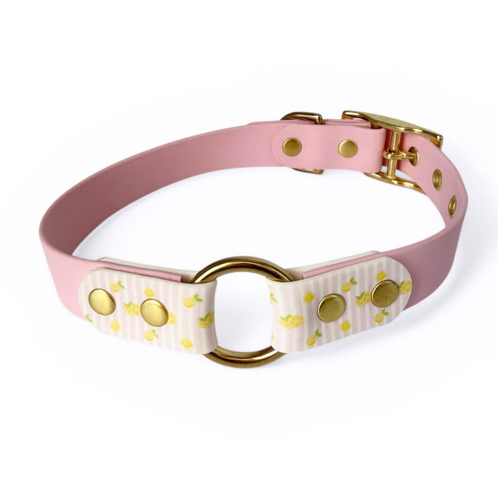 collier en biothane avec motifs citrons pour chiens