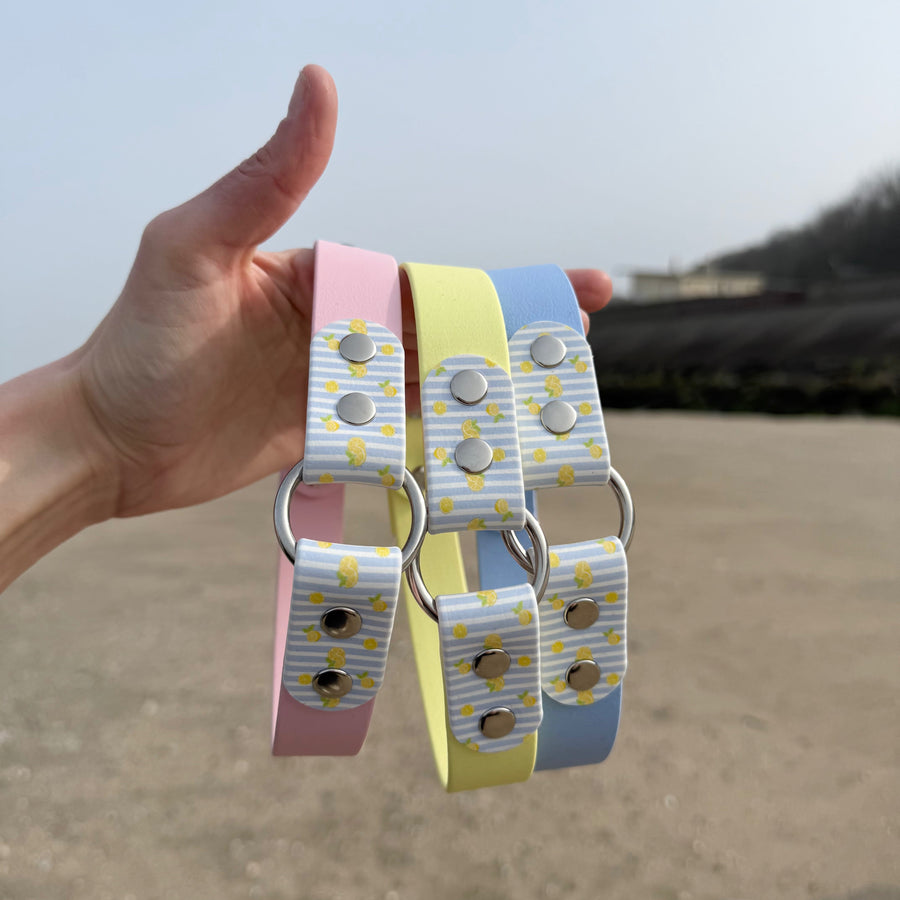 collier biothane motif citrons