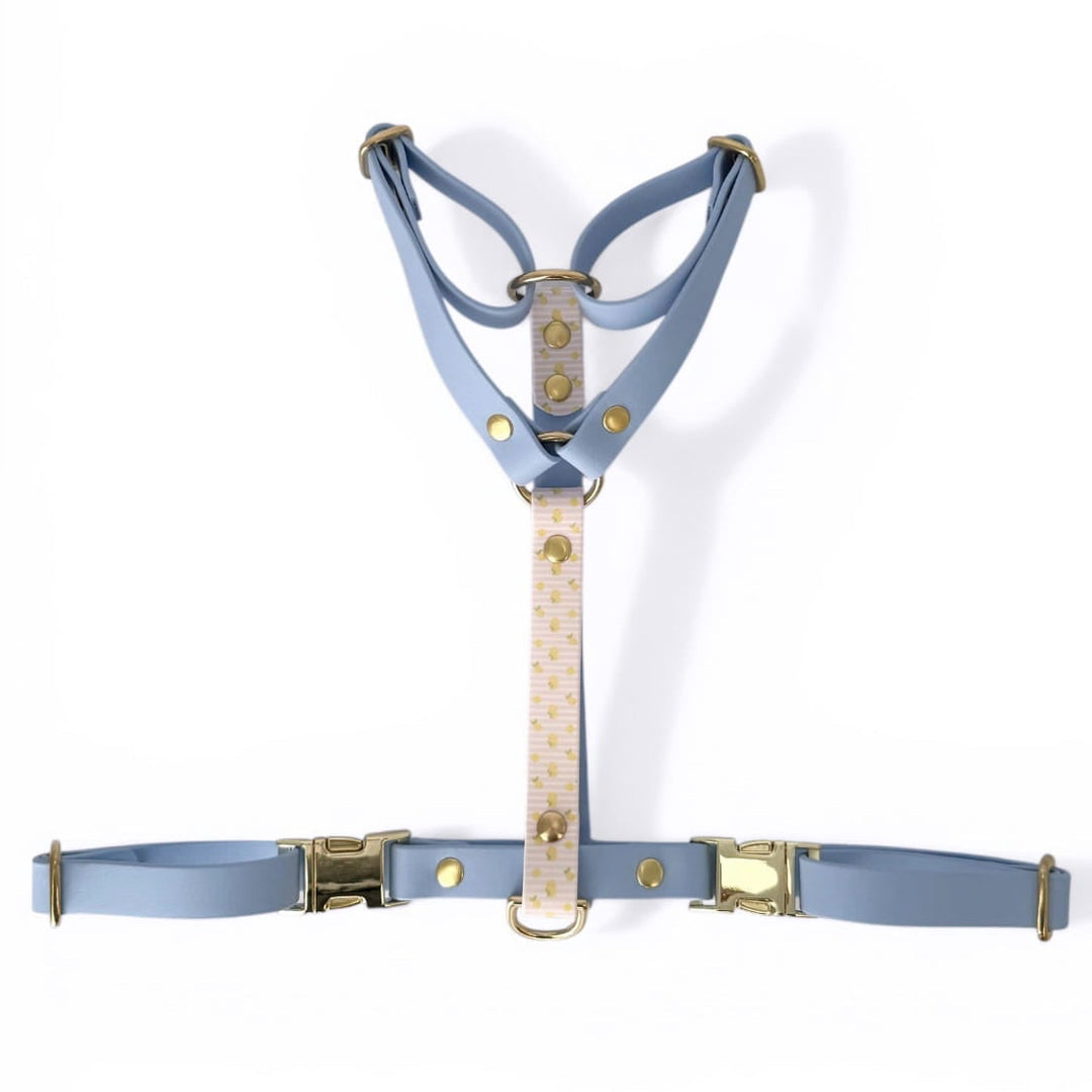 harnais bleu en biothane pour chien avec motifs citrons