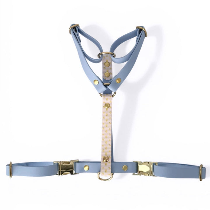 harnais bleu en biothane pour chien avec motifs citrons