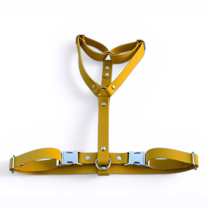 harnais chien moutarde deux clips biothane