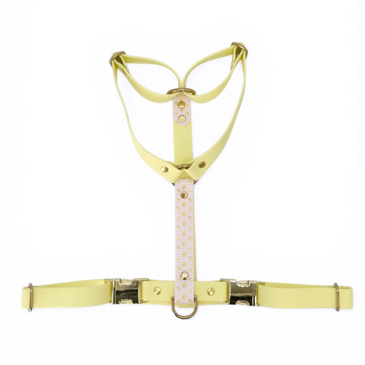 harnais jaune pastel chien motifs citrons