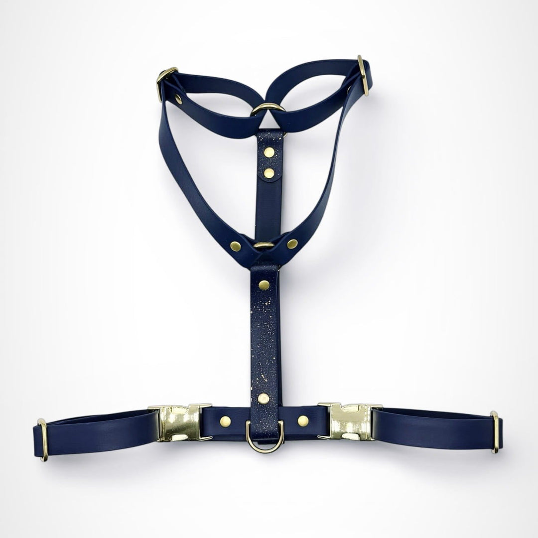 harnais chien bleu marine et doré