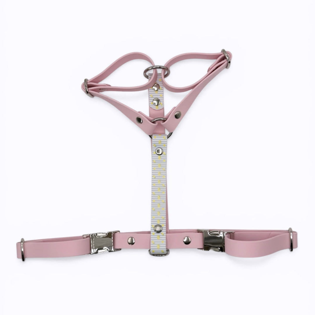harnais motif citrons rose biothane chien