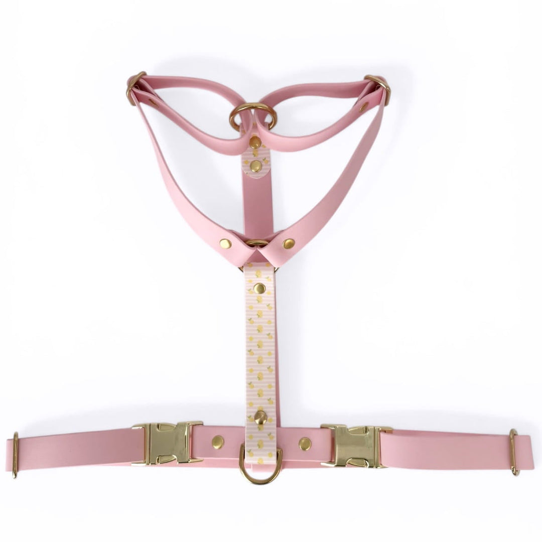 harnais rose biothane avec motifs citrons