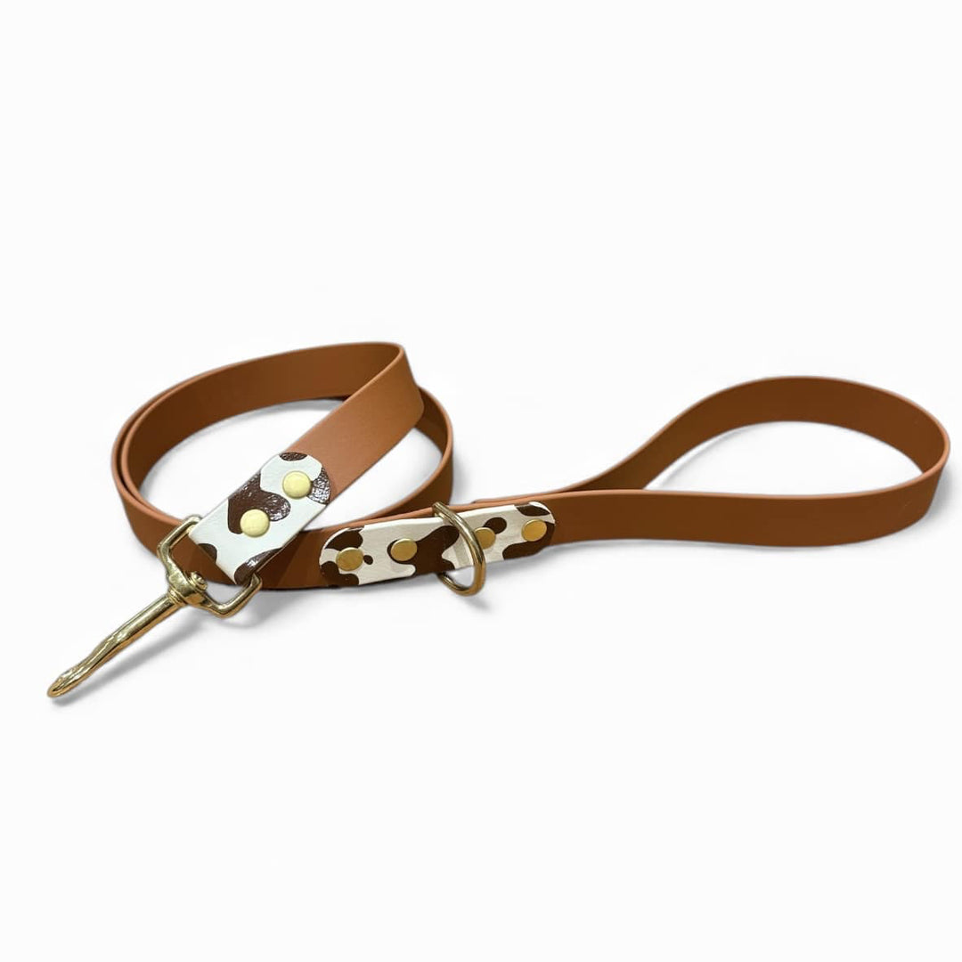 laisse chien camel motif vache