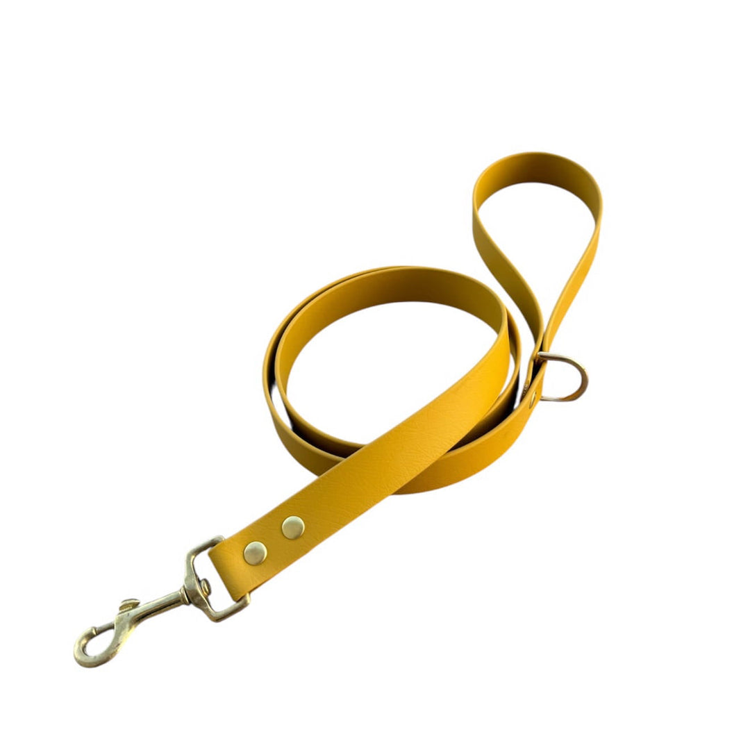 laisse biothane chien moutarde