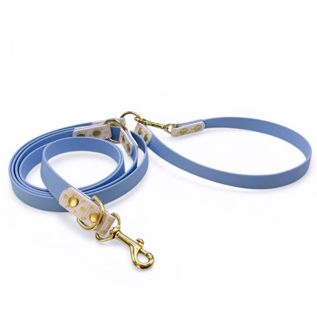 laisse multipositions biothane pour chien bleu polaire et motifs citrons
