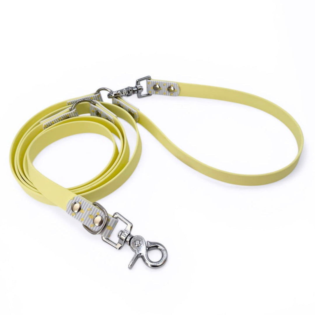 laisse multipositions jaune pastel avec motifs citrons pour chien 