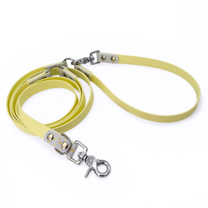 laisse multipositions jaune pastel avec motifs citrons pour chien 